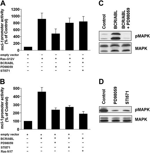 Figure 4. Role of RAS and MAP kinases in MCL-1 expression in BCR/ABL-transformed cells. (A,B) Ton.B210-X cells were transfected with mcl-1-luc/pCMV-βGal, and in addition with either pcDNA3-ras-N17, pcDNA3-ras-G12V, or empty (pcDNA3) vector. Cells (nontransfected or transfected) were incubated with doxycycline (1 μg/mL) to induce BCR/ABL in the presence or absence of inhibitors, that is, PD98059 (50 μM) or STI571 (1 μM) as indicated, for 16 hours at 37°C in serum-free UltraCulture medium. After incubation, cells were harvested and assayed for luciferase and βGal activities. Luciferase activity was reported as the ratio mcl-1-luc/pCMV-βGal. Results are given as percent of control (ie, empty vector) and represent the mean ± SD of 3 independent experiments. (C) Ton.B210-X cells were grown in serum-free UltraCulture medium in the absence of doxycycline (control) or were induced to express BCR/ABL (BCR/ABL) by addition of doxycycline. After 15 hours, cells were exposed to PD98059, 50 μM (BCR/ABL + PD98059) for 45 minutes. Then, cells were harvested and subjected to Western blotting. Expression of phosphorylated ERK was determined using a pMAPK antibody (top row). After stripping, the membrane was reprobed with a MAPK antibody (bottom row). (D) K562 cells were cultured in serum-free UltraCulture medium containing STI571 (1 μM) for 16 hours, or in UltraCulture medium for 15 hours followed by incubation in PD98059 (50 μM) for 45 minutes. After incubation, cells were harvested and subjected to Western blotting. Expression of phosphorylated ERK (top row) and total ERK (bottom row) was determined using a pMAPK and a MAPK antibody, respectively.