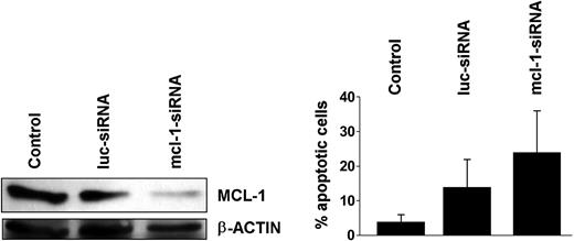 Figure 8. Effects of mcl-1-specific siRNA on K562 cells. K562 cells were kept untransfected (control) or were transfected with an mcl-1-specific siRNA (mcl-1-siRNA; 200 nM). An siRNA against luciferase (luc-siRNA) was used as control. (A) Effect of mcl-1-siRNA on expression of MCL-1 protein in K562 cells determined by Western blotting. Equal loading was confirmed by probing for β-actin. (B) Effects of luc-siRNA and mcl-1-siRNA on cell viability determined by recording the percentage (%) of apoptotic cells. Results represent the mean ± SD from 3 independent experiments.