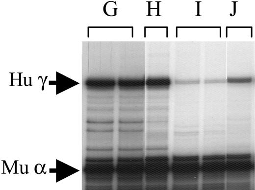 Figure 4. Analyses of structure and expression of construct μLCR/βpr/γ gene in transgenic mice. Four lines (G-J) carrying this transgene were established. RNA analysis is shown. See the legend of Figure 2 for details.