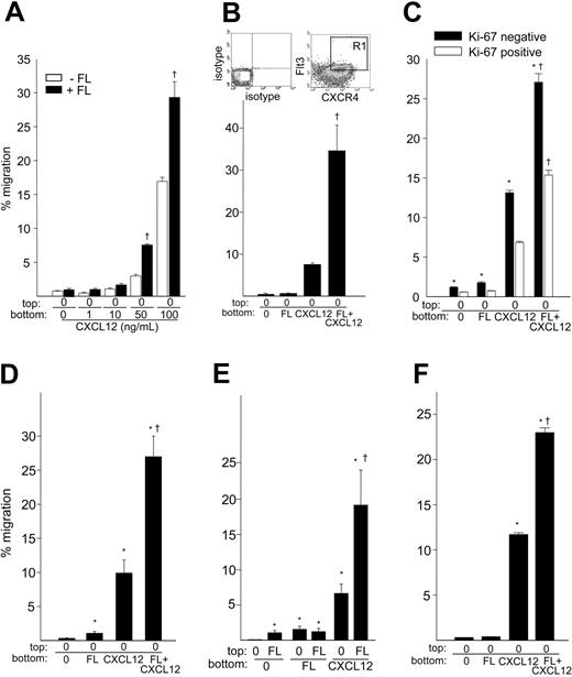 Figure 2. Migration of hematopoietic cells in response to the combination of FL and CXCL12. (A) Migration of freshly isolated UCB CD34+ cells to a positive gradient of escalating doses of CXCL12 was analyzed in the absence (□) or presence of 10 ng/mL rhFL (▪) in the bottom chamber for 4 hours. Data are the mean ± SEM of 2 experiments. † denotes synergistic effect of FL plus CXCL12. (B) Migration of CXCR4+, Flt3+, and CD34+ cells to 10 ng/mL FL and/or 100 ng/mL CXCL12. Partially purified UCB CD34+ cells were stained with FITC anti-CD34, PE anti-Flt3, and Cy-chrome anti-CXCR4, and CD34+, CXCR4+, and Flt3+ cells (gate R1) were sorted by FACS. The isotype and CXCR4/Flt3 staining are shown. Cells were subjected to migration for 4 hours. Data represent the mean ± SEM of 2 experiments. † denotes synergistic effect of FL plus CXCL12. (C) Total CD34+ cells were subjected to migration to 10 ng/mL rhFL and/or 100 ng/mL rhCXCL12 for 4 hours. Intracellular Ki-67 expression in CD34+ cells was performed as described.40 Migrated cells were fixed with 1% paraformaldehyde overnight at 4°C and washed with PBS containing 0.25% Triton X-100 and 1% BSA. Cells were blocked with human IgG on ice for 10 minutes and then stained with FITC-conjugated isotype control or anti-Ki67 antibody in the same buffer on ice for 60 minutes. Cells that appeared below isotype staining were defined as Ki-67negative cells. The percentage of Ki-67negative cell migration (▪) was calculated as the number of migrated Ki-67negative cells divided by the number of Ki-67negative CD34+ input cells multiplied by 100. A similar calculation was performed for Ki-67positive cells (□). Data are the mean ± SEM from 4 experiments. *P < .05 compared with Ki-67positive cells by t test; † denotes synergistic effect of FL plus CXCL12. (D) Percentage migration of Ba/F3-Flt3 cells to FL, CXCL12, or the combination of FL and CXCL12. Exponentially growing Ba/F3-Flt3 cells were extensively washed and 5 × 105 cells subjected to in vitro transmigration assay to 10 ng/mL rh FL, 100 ng/mL rmCXCL12 or rhCXCL12, or FL plus CXCL12. Data are shown as mean ± SEM percentage migration for 3 experiments. *P < .05 compared with background migration; † indicates synergistic effect of FL plus CXCL12. (E) Percentage migration of Ba/F3-Flt3 cells toward FL (10 ng/mL) or CXCL12 (100 ng/mL) in the presence or absence of negative gradient of FL (10 ng/mL). Data are shown as mean ± SEM percentage migration for 3 experiments. *P < .05 compared with background migration; † indicates synergistic effect of FL plus CXCL12. (F) Migration of the human RS4;11 cells in response to 10 ng/mL FL and/or 100 ng/mL CXCL12. Cells were extensively washed and evaluated for migration for 4 hours in 0.5% BSA/RPMI. The data represent the mean ± SEM percentage migration for 1 of 2 experiments. *P < .05 compared with background migration; † indicates synergistic effect of FL plus CXCL12.