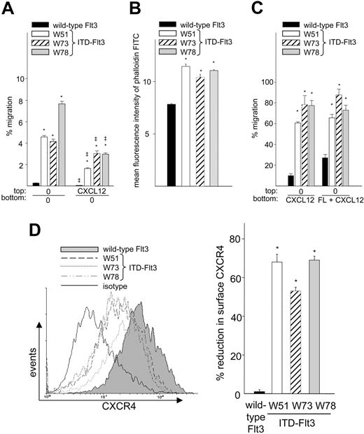 Figure 6. Migration, actin polymerization, and CXCR4 expression of Ba/F3 cells expressing wild-type or ITD-Flt3 mutations (W51, W73, and W78). (A) Ba/F3 cells expressing wild-type Flt3 (▪) or ITD-Flt3 (W51, □; W73, ▨; and W78, ▦) were subjected to transwell migration in the presence or absence of a negative gradient of 100 ng/mL CXCL12 with no cytokine in the lower chamber. These mutations in the juxtamembrane domain of Flt3 cloned from the patients with AML induce IL-3–independent growth of Ba/F3 cells and the W51 and W78 ITD-Flt3 induce lethal myeloproliferative disease in a murine bone marrow transplantation assay.32 Data represent mean ± SEM percentage migration for 3 experiments. *P < .001 compared with wild-type Flt3, and ‡P < .001 compared with 0/0 gradient. (B) Baseline actin polymerization of Ba/F3 cells expressing wild-type or ITD-Flt3 expressed as mean fluorescence intensity of phalloidin-FITC. Symbols indicate same information as in panel A. Data are the mean ± SEM of triplicate measurements from 1 of 2 experiments with similar results. *P < .001 compared with wild-type Flt3. (C) Migration of Ba/F3-Flt3 (wild type or ITD-Flt3) to 100 ng/mL rhCXCL12 or 10 ng/mL FL plus 100 ng/mL CXCL12. Symbols indicate same information as in panel A. Data are expressed as mean ± SEM percentage migration for 3 experiments. *P < .0001 compared with wild-type Flt3. (D, left) Expression of cell surface CXCR4 on Ba/F3 cells expressing ITD-Flt3 compared with cells expressing wild-type Flt3 analyzed by FACS. Histogram represents 1 of the 3 experiments with similar results. The open histogram with bold line shows isotype staining of cells expressing wild-type Flt3. The isotype for other cells was equivalent to cells expressing wild-type Flt3 (not shown). The right panel represents mean ± SEM percentage reduction of CXCR4 in cells expressing ITD-Flt3 compared with cells expressing wild-type Flt3 from 3 experiments. Symbols indicate same information as in panel A. *P < .001 compared with wild-type Flt3.