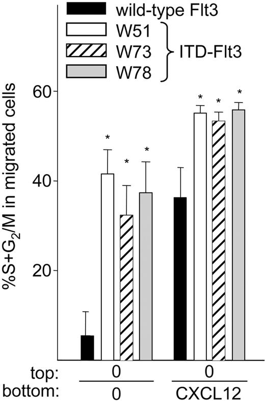 Figure 7. Cell cycle analysis of migrated wild-type or ITD-Flt3 Ba/F3 cells. Cells that had migrated after 4 hours were collected, fixed overnight in 1% paraformaldehyde, and stained with 1 μg/mL propidium iodide (Sigma Aldrich) in 0.6% nonidet P-40 (NP-40)/PBS with 1 μg/mL RNase (Sigma Aldrich), as described.40 Data were analyzed using a FACScan and ModFIT and Cell Quest software (Becton Dickinson) and expressed as the mean ± SEM of spontaneously or CXCL12-induced migrating cells in S+G2/M phase from 3 experiments. ▪ indicates wild-type Flt3; □, W51; ▨, W73; and ▦, W78. *P < .05 compared with wild-type Flt3.