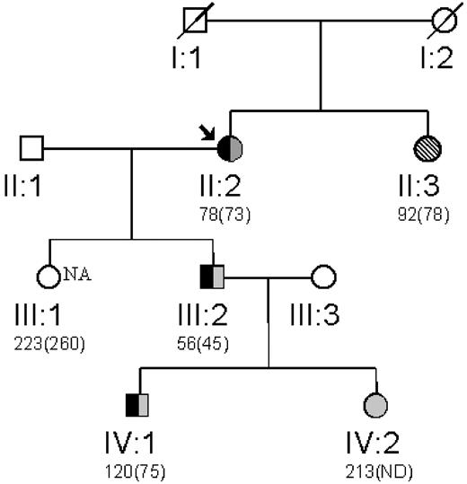 Figure 1. Family pedigree. The propositus (arrow) with previously determined plasma fibrinogen levels assessed by thrombin-clottable protein shown below with immunodetectable fibrinogen (in parentheses). Inheritance of the fibrinogen G exon 9 T to C mutation resulting in a S378P amino acid substitution is shown in black. Gray-shaded objects represent the normal T allele and hatched bars represent the mutant C allele. The affected individual not genotyped is indicated by the shading.