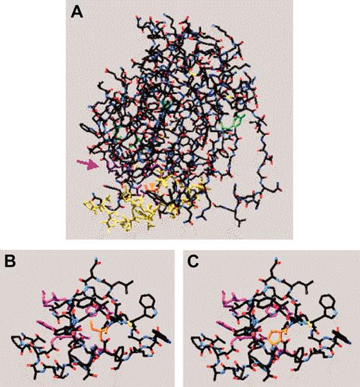 Figure 2. Molecular model of fibrinogen Philadelphia. The γ-chain C-terminal 30-kDa fragment (1FIC) was examined using Swiss-Pdb viewer. The backbone is shown in red (oxygen), white (carbon), and blue (nitrogen) with amino acid residues of interest colored as follows: the fibrinogen Philadelphia mutation (378, orange), some of the residues thought to be critical to polymerization (329, 330, 340, 364, and 375, purple), some of the residues involved in lateral aggregation (350-360, 370-380, yellow), those involved in calcium binding (318, 320, green), and some of the residues involved in D:D interactions (275 and 280, green). (A) Complete C-terminal fragment of wild-type γ chain. The purple arrow indicates region of polymerization pocket and orange arrowhead (embedded in molecule) points to the location of Ser378, the residue affected in fibrinogen Philadelphia. (B) Amino acids 350 to 380 of the wild-type γ chain with residues critical to polymerization pocket visible. (C) Most favored conformation of amino acids 350 to 380 of fibrinogen Philadelphia with residues critical to polymerization pocket visible. Note the green dotted line (0.282 nm) indicating a newly created hydrogen bond between Gly352 (in red) and Pro378.