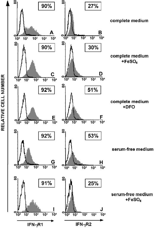 Figure 1. Effect of iron on expression of the IFN-γR chains in human malignant T cells. Flow cytometric analysis of IFN-γR1 and IFN-γR2 surface expression in ST4 malignant T cells cultured in complete medium (A-B), in complete medium with 10 μM FeSO4 (C-D), in complete medium with DFO (E-F), in serum-free medium (G-H), and in serum-free medium with FeSO4 (I-J). The histogram represents the expression of IFN-γR1 (left panels, gray histograms), IFN-γR2 (right panels, gray histograms), or background of mouse IgG1 negative control (open histograms). Shown are the results of 1 representative experiment of 3 independently performed. Boxed results show percentage of positive cells calculated by subtracting the positivity of nonspecific fluorescence detected with isotype-matched control Ig from that obtained with specific fluorescence.
