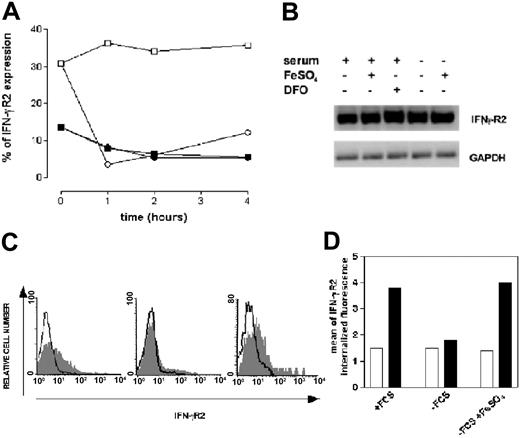Figure 2. Effect of iron on IFN-γR2 chain internalization. (A) ST4 cells were cultured at 37°C in complete medium (▪ and ▪) or in serum-free medium (□ and ○). After 24 hours of culture, 10 μM FeSO4 was added (▪ and ○); aliquots were recovered at different time points and IFN-γR2 surface expression was evaluated by flow cytometric analysis. Results are expressed as percentage of positive cells calculated by subtracting nonspecific fluorescence detected with isotype-matched control IgG1 from specific fluorescence. One of 3 independently performed experiments is shown. (B) Total RNA was extracted from ST4 T cells cultured for 24 hours in complete or serum-free medium, with or without 10 μM DFO or 10 μM FeSO4, and IFN-γR2 and GAPDH (housekeeping gene) mRNAs were analyzed. (C) IFN-γR2 surface expression was evaluated in ST4 cells cultured in serum-free medium (left), serum-free medium plus 10 μM FeSO4 for 1 hour (middle), serum-free medium plus 10 μM FeSO4 for 1 hour, washed 3 times, and then treated for 1 hour with 10 μM DFO (right). Open histograms represent background of mouse IgG. Negative control and gray histograms represent the expression of IFN-γR2. (D) ST4 T cells cultured for 24 hours with or without serum, or without serum plus 10 μM FeSO4, were recovered and incubated with anti–IFN-γR2 mAb at 4°C (□) or 37°C (▪). After 1 hour, cells were permeabilized and stained with PE-conjugated anti–mouse Ig. Mean of IFN-γR2 internalized fluorescence was calculated by subtracting the mean of internalized fluorescence obtained with isotype-matched mAb from that obtained with specific anti–IFN-γR2 mAb.