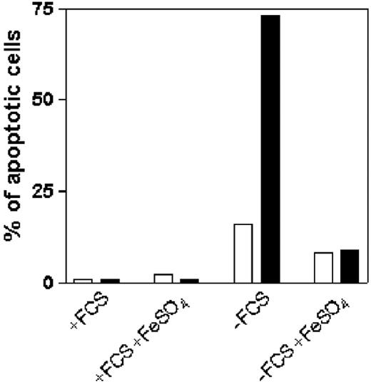 Figure 5. Effects of iron on IFN-γ–induced apoptosis in serum-deprived T cells. ST4 cells were cultured for 24 hours in complete or serum-free medium, with or without 10 μM FeSO4, and then further cultured in the absence (□) or presence (▪)of 1000 U/mL IFN-γ. After 24 hours, cells were recovered and stained with Tunel kit to evaluate IFN-γ–induced apoptosis. The number of apoptotic cells was determined by flow cytometric analysis. Percentage of DNA fragmentation is indicated. Results of 1 of 3 independently performed experiments are shown.