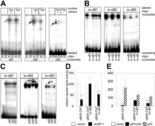 Figure 4. κB2 of the BAX promoter is necessary for the inhibition of BAX promoter activity by LMP-1. (A) EMSA with κB1, κB2, and κB3 wild-type and mutant oligonucleotides as probes without (-) or with nuclear extracts from 1852.4 cells grown 6 days in the absence (Tet-) or presence (Tet+) of 2 mg/mL tetracycline. LMP-1-dependent complexes are indicated by black arrows. An LMP-1-independent complex is indicated by a white arrow. (B) EMSA competition experiment with nuclear extracts of 1852.4 grown in the presence of tetracycline and radiolabeled wild-type κB1, κB2, and κB3 oligos and an excess unlabeled κB1, κB2, κB3, or κB consensus region (κBc) wild-type (w) or mutant (m) oligonucleotides. (C) EMSA supershift analysis with κB1, κB2, and κB3 oligonucleotides as probes and nuclear extracts of 1852.4 cells grown in the presence of tetracycline. Antibodies to p65, p50, and p52 were added to the binding reactions before incubation with the probe. Supershifted complexes are indicated by white (p65) and black (p50) arrows. (D) CAT assay of HEK 293-T cells cotransfected with reporter plasmids with wild-type (pBAX-CAT) or mutant BAX promoters (pBAX-CATm-κB2 or pBAX-CATm-κB3) and with pHEBo (□) or pLMP-1 (▪). (E) CAT assay of HEK 293-T cells transfected with either pBAX-CAT, pBAX-CATm-κB2, or pBAX-CATm-κB3 in combination with either pCMV-T (□), pCMV-T-p50 (▨), or pCMV-T-p65 together with pCMV-T-p50 (▪). (A-C) Representative example of 3 independent experiments. (D-E) CAT activity in the presence of the control vector was set to 100%. Mean and standard deviation of 3 independent experiments. *P < .01.
