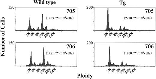 Figure 4. DNA contents of CD41+ bone marrow cells in BACH1 transgenic mice and their wild-type littermates. Unfractionated bone marrow cells were labeled by FITC-conjugated anti-CD41 antibody and DNA content was stained with propidium iodide. Two-color flow cytometry was used to detect the DNA content in megakaryocytes. A typical histogram showing DNA content averaged over 3 experiments is shown. The transgenic lines and the number of CD41+ cells among 2 × 106 nucleated cells that were analyzed are indicated inside each graph.