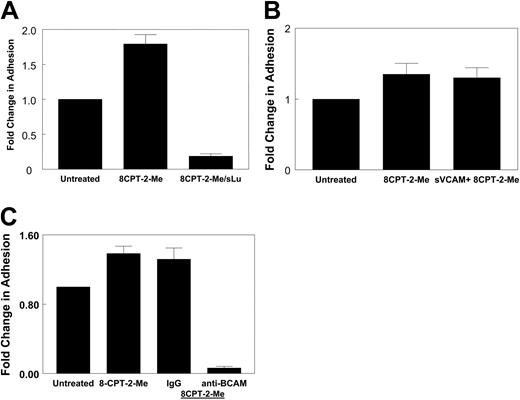 Figure 6. Rap1 promotes adhesion to laminin via the BCAM/LU receptor. (A) Rap1 promotes adhesion to laminin via the BCAM/LU receptor. SS RBCs were treated with 100 μM 8CPT-2-Me for 20 minutes and then flowed over chambers coated with either 0.75 μg laminin or 0.75 μg laminin blocked by precoating the immobilized laminin with 3 μg soluble BCAM/LU in 75 μL of PBS for 3 hours at 37°C in a flow adhesion assay. Results shown are expressed as mean ± SE from 2 separate experiments. (B) Soluble VCAM does not block adhesion to laminin. Immobilized laminin (0.75 μg) either was not precoated or precoated with 50 μg/mL soluble VCAM-1. SS RBCs were treated with 100 μM 8CPT-2-Me for 20 minutes. The cell suspension, while still in the presence of 8CPT-2-Me at the aforementioned concentration, was flowed across 0.75 μg laminin in a flow adhesion assay. Results are expressed as mean ± SE from 2 separate experiments. (C) The BCAM/LU receptor mediates adhesion to laminin stimulated via Epac/Rap1. SS RBCs were either untreated or preincubated with either 25 μg/mL BCAM adhesion-blocking antibody or an equivalent concentration of IgG control antibody for 1 hour. The RBCs or RBC/antibody mixture were then treated with 100 μM 8CPT-2-Me for 20 minutes and, while still in the presence of antibody and 8CPT-2-Me at the aforementioned concentrations, flowed over channels coated with 0.75 μg laminin in a flow adhesion assay. Results shown are expressed as mean ± SE from 4 separate experiments.