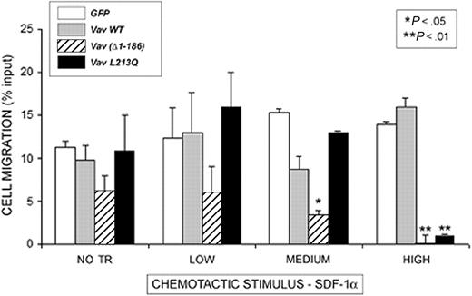 Figure 7. Oncogenic as well as dominant negative Vav impairs SDF-1α–induced human PBL migration. Human PBLs were nucleofected with the indicated GFP-fusion proteins (□, GFP; ▦, Vav WT; ▦, Vav Δ1-186; and ▪, Vav L213Q) and after 24 hours were allowed to migrate for 3 hours in 3-μm pore diameter Boyden-modified migration chambers in the presence of 10 nM SDF-1α. Cells were gated and analyzed according to their expression of the GFP-fusion protein. Results correspond to the mean ± SEM of the percentage of transmigrated cells per condition in 4 independent experiments performed in triplicate; NO TR, nontransfected.