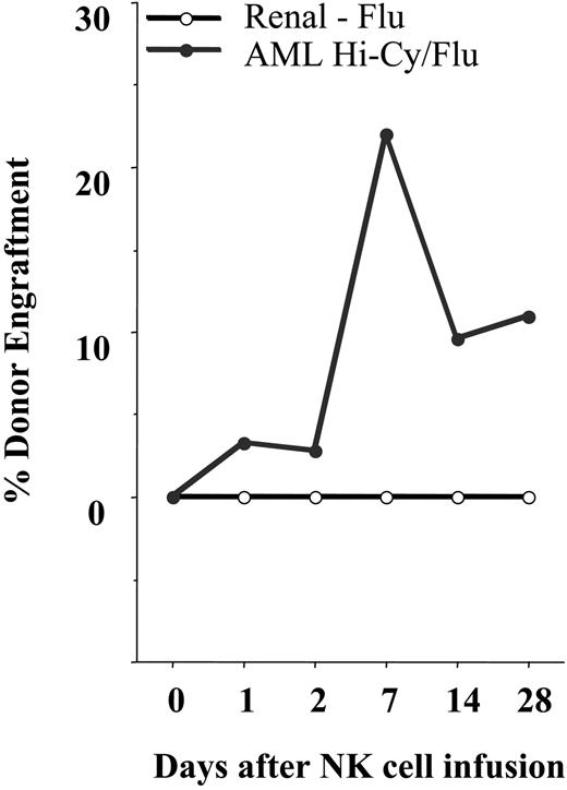 Figure 3. Hi-Cy/Flu induces in vivo expansion of NK cells. All patients with AML and renal cell carcinoma were analyzed using an RT-PCR–based chimerism assay when an informative donor allele lacking cross reactivity with the recipient could be established. Shown is the average percent donor PBMC engraftment for each cohort. There was in vivo expansion of donor cells by day 7 in the AML cohort receiving Hi-Cy/Flu (•) but not in the renal cell carcinoma cohort receiving Flu alone (○). Donor cells persisted for 28 days and beyond in some patients.