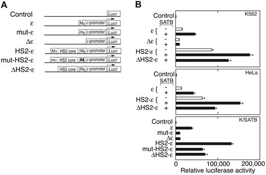 Figure 4. Reporter gene assay of ϵ constructs. (A) The ϵ-promoter with the SATB1-binding site Mϵ was cloned 5′ of the luciferase reporter gene in pREP4/Luc. Mϵ is mutated in mut-ϵ and deleted in Δϵ. HS-2 with the SATB1-binding site M1 was cloned 5′ of the ϵ-promoter to give HS2-ϵ. M1 is mutated in mut-HS2-ϵ and deleted in ΔHS2-ϵ. (B) The luciferase activity was determined after transfection of the reporter gene construct into K562, HeLa, and K562/SATB1 (K/SATB) cells with (▪) or without (□) cotransfection with a SATB1 expression vector as indicated. The promoterless pREP4/Luc construct was included as a negative control. Error bars represent SD from 3 independent experiments.