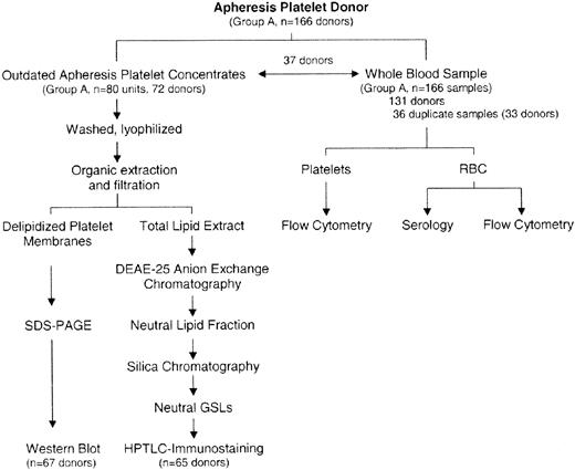 Figure 1. Analysis of ABH expression in group A platelet donors by RBC serology, flow cytometry, and glycoconjugate analysis.