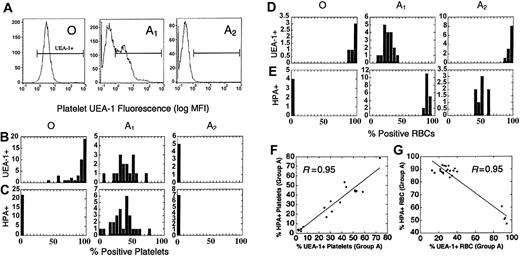 Figure 4. Different regulation of H and A antigen on platelets and RBCs. (A) H antigen expression (FITC-UEA1) on group O, A1, and A2 donors by flow cytometry. (B-C) The distribution of H (B, % UEA1+) and A antigens (C, % HPA+) on platelets in a population of group O, A1, and A2 donors. (D-E) The distribution of H (D, % UEA1+) and A (E, % HPA+) antigens on RBCs in a population of group O, A1, and A2 donors. Note the absence of H and A on A2 platelets, whereas H is increased on A2 RBCs. The relative expression of H and A also differs between A1 RBCs and platelets as well. Horizontal brackets (B-E) indicate UEA1+ fluorescence. Cells left of the bracketed area were considered UEA1-negative. (F-G) Blood group H (% UEA1+) and A (% HPA+) expression in individual group A platelet donors. (F) On platelets, A and H are proportionately coexpressed, where y = 0.15 + 0.93x. (G) Blood groups H and A are inversely expressed on RBCs (y = 103.3-0.53x), with 2 distinct clusters representing A1 and A2 donors.