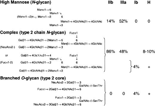 Figure 5. H antigen is expressed on a mixture of N- and O-linked glycans on major platelet GPs. Potential H epitopes on the 3 major platelet GPs: GPIIb, GPIIIa, and GP1b. On GPs IIb and IIIa, there is a mixture of high mannose, biattenary, and triattenary type 2 chain N-glycans.55 It is estimated that 8% to 10% of biattenary and triattenary structures may terminate in an H-active epitope, which could be further modified to A and B antigens in group A and B individuals, respectively. Based on the number of GPIIb/IIIa molecules per platelet,54 this could equal approximately 100 000 ABH epitopes/platelet. GPIb, a sialomucin, has limited N-glycans but is rich in O-linked carbohydrate, which comprises 60% of the molecular weight of the molecule.54 Most of the O-linked carbohydrate exists as a disialo, branched core 2 oligosaccharide.56-58 A minor component (4%) is a monosialo, fucosylated derivative with H-like activity57 that could number nearly 75 000 H epitopes/platelet. Similar O-glycan structures may exist on GPIV.59 Because of their branched structure, and the density of O-glycan on GPIb molecule, these H-like epitopes may be sterically inaccessible for further modification by the A/B glycosyltransferase. As a consequence, increases in H-fucosyltransferase activity could result in parallel increases in H and A antigen on O- and N-linked glycans, respectively.