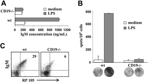 Figure 3. LPS responsiveness of wt and CD19-/- B-cell precursors. Wild-type and CD19-/- BM culture cells were stimulated with 50 μg/mL LPS for 48 hours. (A) Supernatants of stimulated cells were collected and assayed for IgM by ELISA. IgM concentrations were determined using a reference IgM standard curve and are expressed as nanograms per milliliter. ▦ indicates LPS; □, medium. Results are expressed as mean ± SE of 3 different experiments. (B) Visualization and quantification of antibody-producing plasma cells in the stimulated cultures. Cultured cells that were stimulated with LPS for 48 hours were then transferred to filters for analysis of plasma cells by an ELISPOT assay. Frequencies of IgM-producing plasma cells were calculated and expressed as number of IgM-producing cells per 105 precursor cells. ▦ indicates LPS; □, medium. Results are expressed as mean ± SE of 3 different experiments. Representative filters are shown for each bar. (C) Expression of RP105 in early B-cell precursors. Cultured cells were stained for IgM and RP105 and analyzed by FACS. Plots shown are representative of 3 experiments. Actin blot is shown as an internal control gene expression.