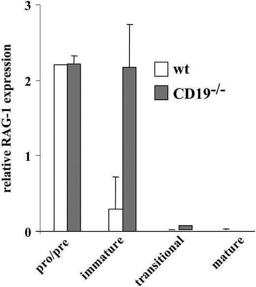 Figure 4. Rag expression in sorted wt and CD19-/- B-cell precursors. Wild-type (□) and CD19-/- B-cell precursors (▦) grown in BM cultures were sorted to pro-/pre-, immature, and transitional fractions, as described in “Materials and methods.” Mature cells were purified from spleen. Levels of RAG-1 expression in each sorted population were determined by RT-PCR. Results shown are mean ± SE of 3 different experiments.