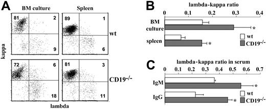 Figure 5. Biased lambda-kappa ratio in CD19-/- mice and in BM culture. (A) Bone marrow culture cells and splenic B cells from wt and CD19-/- mice were stained for IgM, kappa, and lambda and analyzed by FACS. Plot analysis for kappa and lambda expression was performed on gated IgM+ cells. Shown is a representative dot plot of 3 different experiments. (B) Histogram summarizing the lambda-kappa ratio expressed in BM culture and spleen cells of wt (□) and CD19-/- mice (▦). Results expressed are mean ± SE of 3 different experiments. (C) The lambda-kappa ratio in serum antibody. Serum samples from 6 wt (□) and 6 CD19-/- mice (▦) were analyzed by ELISA for levels of IgM/kappa and IgM/lambda or IgG/kappa and IgG/lambda. Antibody concentrations were calculated using as reference IgM or IgG standard curves. Results are expressed as mean ± SE. Asterisk indicates values that are statistically different (P < .05).