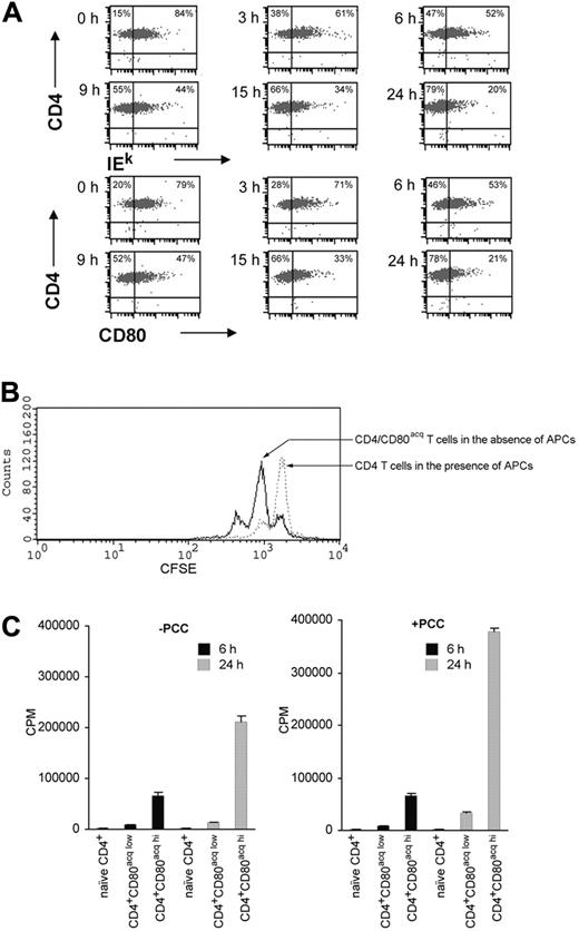 Figure 1. Kinetic change in disappearance of CD80 and IEk, continued proliferation of CD4+CD80acq T cells, and acquired CD80-dependent proliferative response. (A) Naive CD4+ T cells were incubated with PCC-pulsed P13.9 APCs for 20 hours to acquire MHC class II-IEk and CD80. CD4+CD80acq hi T cells were cultured in the absence of APCs and PCC peptide at various time points, and acquired IEk and CD80 on these T cells were assessed by using multicolor FACS analysis. (B) CFSE-stained naive CD4+ T cells were stimulated with PCC-pulsed P13.9 APCs for 20 hours. The cells were further cultured in the presence or absence of APCs for an additional 24 hours. Proliferative response of the cells in the presence or absence of APCs was examined by the FACS analysis. (C) Naive CD4+ T cells were cocultured with either PCC-pulsed APCs expressing low levels of CD80low (DCEK) or PCC-pulsed APCs expressing high levels of CD80hi (P13.9) for 20 hours. After the separation from DCEK and P13.9 APCs, both CD4+CD80acq low and CD4+CD80acq hi T cells were incubated in the absence or presence of an additional 1 μg/mL PCC without APCs for 6 (▪) or 24 hours (). Proliferation of CD4+CD80acq low and CD4+CD80acq hi T cells (3 × 105 cells per well, 96-well plate) was examined using 3H uptake assay. Data represent mean ± SE of 11 different experiments. Percentages are the percent positive cells in the respective quadrant.
