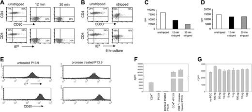 Figure 2. Effect of pronase treatment on the proliferative response of CD4+CD80acq hi T cells, expression of IEk and CD80 on P13.9, function of P13.9 APCs, and impact of possibly contaminated splenic APCs on the proliferation of T cells. (A) Naive CD4+ T cells were cocultured with PCC-pulsed P13.9 (CD80high) APCs for 20 hours. After the separation from the APCs, CD4+CD80acq hi T cells were further stripped with 0.01% pronase for 12 or 30 minutes. Expression of CD4, CD80, and IEk on the unstripped or pronase-stripped cells was analyzed by 3-color FACS analysis. (B) Level of IEk, CD80, and CD4 on unstripped or pronase-stripped (treatment for 12 and 30 minutes) CD4+CD80acq hi T cells, which had been further cultured in the absence of APCs and PCC peptide for 6 hours, was analyzed by 3-color FACS analysis. (C) CD4+CD80acq hi T cells that were not stripped (□) or stripped with pronase for 12 minutes (▪) or 30 minutes (▦) were cultured in the absence of APCs and PCC peptide for 6 hours. Proliferative response of these T cells was examined using 3H uptake assay. (D) Naive CD4+ T cells were stimulated with PMA (5 ng/mL) plus ionomycin (250 ng/mL) for 20 hours and further treated with 0.01% pronase for 12 minutes (▪) or 30 minutes (▦). □ represents unstripped. Proliferative response of these T cells was examined using 3H uptake assay. (E) P13.9 APCs were treated with 0.01% pronase for 30 minutes, and IEk and CD80 expression on P13.9 APCs was analyzed by FACS analysis. (F) Naive CD4+ T cells were stimulated with either PCC-pulsed P13.9 APCs or pronase-treated PCC-pulsed APCs for 24 hours. Proliferative response of these T cells was examined using 3H uptake assay. CD4+: naive T cells only; P13.9: P13.9 APCs pulsed with PCC peptide; pronase-treated APCs: P13.9 APCs pulsed with PCC peptide were further treated with 0.01% pronase for 30 minutes; CD4 + P13.9: naive CD4+ T cells were stimulated with P13.9 APCs; CD4+ pronase-treated P13.9: naive CD4+ T cells were stimulated with pronase-treated P13.9 APCs. (G) Purified naive CD4+ T cells were treated with different concentrations (100 ng/mL to 1 pg/mL) of PCC peptide for 24 hours. Proliferative response of purified CD4+ T cells was examined using 3H uptake assay. Percentages are the percent positive cells in the respective quadrant. Error bars represent mean ± standard deviation (SD).