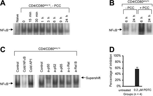 Figure 4. The role of NFκB in the proliferation of CD4+CD80acq hi T cells. (A) Naive CD4+ T cells were cocultured with PCC-pulsed P13.9 fibroblasts for 20 hours. After the separation from P13.9 APCs, NFκB activity of nuclear extracts from either naive CD4+ or CD4+CD80acq hi T cells was investigated using EMSA. CD4+CD80acq hi T cells were separated from PCC-pulsed P13.9 fibroblasts (0 hour) and further cultured at various time points in the absence of APCs and PCC peptide, and NFκB activity in these cells was examined. (B) CD4+CD80acq hi T cells were cultured in the absence or presence of PCC peptide (1 μg/mL) without APCs, and NFκB activity in these cells was measured at 6 or 24 hours. (C) NFκB binding band in the cells mentioned in the discussion of Figure 4A was analyzed using competitive and supershift assays. In competitive assay (left), 50-fold of cold NFκB and AP1 oligmers were used to compete with labeled NFκB probe. In the supershift assay (right), a set of anti-NFκB antibodies was applied to detect NFκB subunits. (D) CD4+CD80acq hi T cells were treated with 0.2 μM PDTC (an NFκB inhibitor) in the absence of APCs and PCC peptide for 6 hours. The effect of PDTC on 3H uptake of CD4+CD80acq hi T cells was assessed. Data are expressed as average percentage inhibition of proliferation. This result is the average of 4 experiments. The CD4+CD80acq hi T cells exposed to PDTC were further stained with propidium iodide. Viability of the CD4+CD80acq hi T cells was determined by FACS analysis (data not shown). Error bars represent mean ± SD.