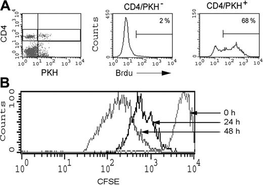 Figure 7. Physiological consequence of CD80 acquisition by T cells in vivo. (A) PKH-stained CD4+CD80acq hi T cells were adoptively transferred into PCC/TCR-Tg mice, and the proliferative response of these cells was measured by BrdU incorporation 2 days after adoptive transfer of these cells. PKH-positive and -negative cells were analyzed for BrdU incorporation using 3-color FACS analysis. (B) A total of 6 × 106 CFSE-stained CD4+CD80acq hi T cells were adoptively transferred into PCC/TCR-Tg mice. Proliferative response of CFSE-stained CD4+CD80acq hi T cells was examined 24 and 48 hours after adoptive transfer using FACS analysis. Percentages are the percent positive Brd U positive T cells.