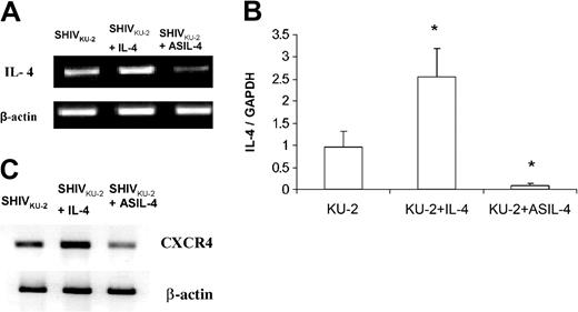 Figure 3. Levels of IL-4 mRNA in SHIVKU-2–infected CD4+ T cells treated with rmIL-4 or AS IL-4 as seen by RT-PCR and quantitative real-time RT-PCR. Following 24 hours of treatment, cellular RNA was extracted by Trizol, DNAse treated, and assessed for IL-4 mRNA levels by RT-PCR (A) and quantitative real-time RT-PCR (B). Panel B represents a ratio of IL-4 and GAPDH RNA transcripts. *P < .05 compared with SHIV-infected cells. (C) RT-PCR analysis of CXCR4 mRNA in SHIVKU-2–infected MDM in the presence of rmIL-4 or AS IL-4 ODN by using macaque CXCR4 primers. The data are presented as the mean ± standard deviation of 3 independent experiments.