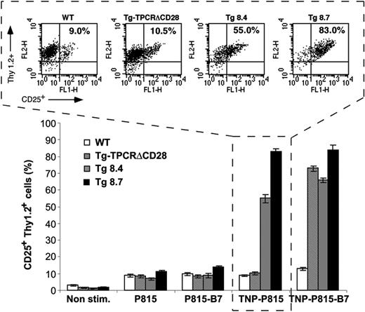 Figure 2. Activation of T cells from transgenic mice is independent of the B7-CD28 interaction. Purified T cells were cocultured for 3 days with the different stimulator cells. Expression of the CD25 activation marker was evaluated in Thy1.2+ cells by FACS analysis. The upper part of the figure shows one set of actual dot plots, and the lower part summarizes the data of CD25 expression on T cells undergoing the various treatments (□, WT; ▧, Tg-TPCRΔCD28; ▦, Tg 8.4; ▪, Tg 8.7). Results represent 3 separate experiments, each with 3 mice/group. The percentage in the dot plot represents the fraction of lymphocytes that score positive for both Thy1.2 and CD25+. The error bars represent the standard deviation of triplicates.