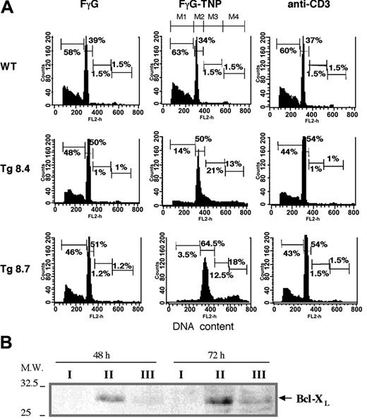 Figure 5. Rescue from apoptosis in unprimed naïve Tg8.4 and Tg8.7 T cells. (A) Cell cycle analysis of purified T cells following 3 days culture in the presence of immobilized carrier protein (FgG), antigen (FgG-TNP), or anti-CD3 antibodies. Cells were fixed and stained with propidium iodide to analyze their DNA content. Cell cycle histograms fitted to the different regions were used to determine the proportion of cells in the various cell cycle phases. Region M2 represents cells in G1, whereas regions M3 and M4 show cells in S and G2/M phases, respectively. Hypodiploid (apoptotic) cells are indicated in region M1. Results are representative of 3 different experiments with 3 mice/group. (B) Kinetics of bcl-XL protein induction following stimulation with FγG (I), FγG-TNP (II), or anti-CD3 (III) as determined by immunoblotting.