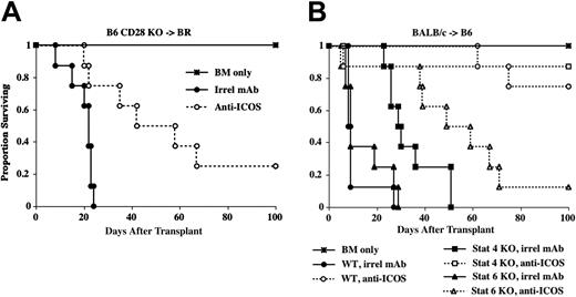 Figure 2. ICOS blockade inhibits GVHD independent of CD28, STAT4, or STAT6 signaling. (A) Lethally irradiated (8.0 Gy) BR mice received 20 × 106 B6 BM (*) and 15 × 106 B6 CD28-/- splenocytes. Irrelevant rIgG (•) or anti-ICOS (○) was administered from day -1 through day 28. Survival is shown (n = 8/group; P = .009). KO indicates knock out. (B) Lethally irradiated B6 (9.0 Gy) mice received 20 × 106 BALB/c BM (*) and 25 × 106 splenocytes from BALB/c WT (circles), STAT4-/- (squares), or STAT6-/- mice (triangles). Irrelevant mAb (filled symbols) or anti-ICOS (open symbols) was administered from day -1 through day 28. Survival is shown (n = 8/group; P ≤ .0075, irrel mAb vs anti-ICOS for each spleen donor).