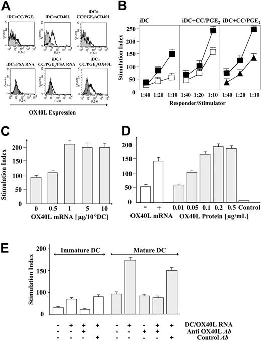 Figure 1. Expression and immunostimulatory function of OX40L on monocyte-derived DCs. (A, top row) OX40L expression was determined by fluorescence-activated cell sorting (FACS) on immature DCs (gray histograms) or 24 hours after maturation with cytokine cocktail/PGE2 (iDCs ± CC/PGE2), with 3 μg/mL soluble trimeric CD40 ligand (iDCs ± sCD40L), or with cytokine cocktail plus sCD40L (iDCs ± CC/PGE2/sCD40L). (A, bottom row) OX40L expression was determined on immature DCs (gray histograms), immature DCs transfected with prostate-specific antigen (PSA) control mRNA (iDCs ± PSA RNA), cocktail-matured and control RNA–transfected DCs (iDCs ± CC/PGE2/PSA RNA), or OX40L-transfected and cocktail-matured DCs (iDCs ± CC/PGE2/OX40L mRNA). (B) Allogeneic mixed lymphocyte reactions (MLRs). Allogeneic CD4+ T cells were stimulated with immature DCs (iDC) or cocktail-matured DCs (iDC + CC/PGE2) at the indicated responder-to-stimulator ratios. DCs were transfected with PSA mRNA (□), green fluorescent protein (GFP) mRNA (▴), or OX40L mRNA (▪). Proliferation was assessed by incorporation of tritiated thymidine. Results are presented as the mean stimulatory index with standard deviation (SD) calculated from triplicate wells. (C) DCs were transfected with increasing amounts of OX40L mRNA, matured with cytokine cocktail, and used as stimulators in an allogeneic MLR at a stimulator-to-responder ratio of 1: 10. (D) Allogeneic MLR in the presence of increasing concentrations of OX40 agonist (recombinant human OX40L protein). Allogeneic CD4+ T cells were incubated with OX40L RNA–transfected and cocktail-matured DCs (+ OX40L mRNA) or control (PSA) RNA–transfected and cocktail-matured DCs (–OX40L mRNA) at a stimulator-to-responder ratio of 1: 10. Increasing amounts of OX40L protein (range, 0.01-0.5 μg/mL) plus anti-FLAG antibody (1 μg/mL) were added to reactions. No stimulation of CD4+ T cells could be observed in the absence of DCs (Control). (E) Allogeneic MLR in the presence of OX40L-neutralizing antibody. Immature or cocktail-matured DCs were transfected with control (PSA) mRNA or OX40L mRNA and used as stimulators for allogeneic CD4+ T cells (stimulator-to-responder ratio, 1:10). Anti-OX40L antibody (5 μg/mL) was added as indicated. As a control, an anti-CD8 antibody (5 μg/mL) was used in these assays. Results are presented as the mean stimulatory index with SD calculated from triplicate wells.