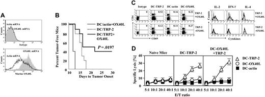 Figure 5. Enhancement of antitumor immunity in mice immunized with OX40L mRNA–cotransfected DCs. (A) Murine DCs (generated from bone marrow precursors in the presence of IL-4 and GM-CSF) were transfected with OX40L or actin (control) mRNA, and OX40L cell-surface expression was determined by flow cytometry. (A, top panel) Isotypic control; (A, bottom panel) staining with anti-OX40L antibody. (B) Mice were inoculated subcutaneously with 2.5 × 104 F10.9 tumor cells. Three days after tumor implantation, mice (n = 10 in each group) were immunized intraperitoneally with 3 × 105 mRNA-transfected DCs twice at 7-day intervals. Tumor growth was evaluated every other day starting on day 10. Mice were killed once the tumor size reached 10 mm in diameter. (C) Splenocytes were isolated from mice vaccinated with TRP-2 mRNA–transfected DCs (TRP-2 – OX40L) or TRP-2/OX40L mRNA–cotransfected DCs (TRP-2 + OX40L). Cells were restimulated for 8 hours using DCs transfected with either TRP-2 mRNA (DC–TRP-2), actin mRNA (DC-actin), or OX40L mRNA (DC-OX40L), with 10 μg/mL Brefeldin A added during the last 4 hours of stimulation. Subsequently, cells were stained with anti-CD4 and anti-CD69 antibodies and analyzed by FACS analysis. Cells were permeabilized and stained with anti–IL-2, anti–IL-4, and anti–IFN-γ antibody. After gating on CD4+CD69+ cells, intracellular levels of cytokines were determined by flow cytometry. (D) Cytolytic assays. Splenocytes were isolated from naive mice, mice vaccinated with TRP-2 mRNA–transfected DCs (DC–TRP-2), and mice vaccinated with TRP-2/OX40L mRNA–transfected DCs (DC–OX40L + TRP-2). Cells were restimulated once with actin mRNA–transfected DCs (DC-actin), TRP-2 mRNA–transfected DCs (DC–TRP-2), and OX40L mRNA–transfected DCs (DC-OX40L). After 5 days, restimulated cells were analyzed in standard chromium release assays for specific killing of TRP-2 mRNA–transfected DCs (▵), actin mRNA–transfected DCs (▪), or OX40L mRNA–transfected DC (○) at the indicated effector-to-target (E/T) ratios.