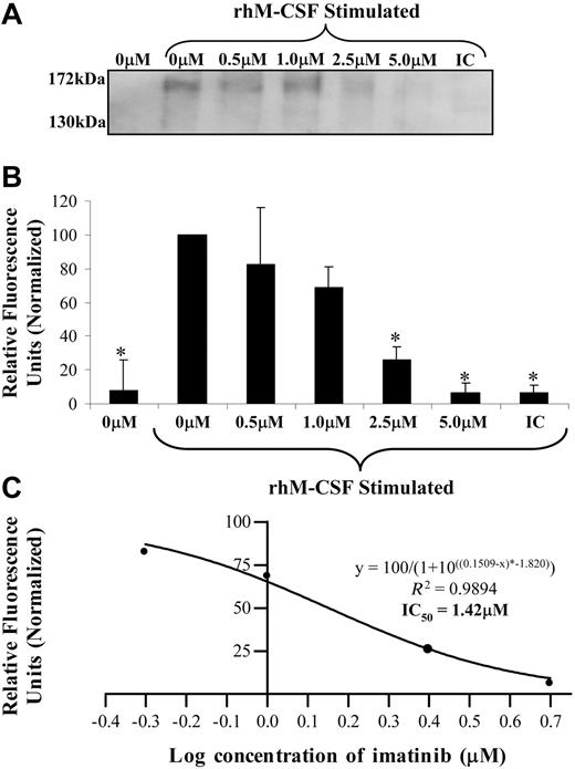 Figure 3. Imatinib inhibits c-fms phosphorylation. (A) FDC-cfms cells were starved for 1 hour in the presence of imatinib, then stimulated with M-CSF for 2 minutes. Immunoprecipitates were examined for α-phosphotyrosine using Western blotting (IC indicates isotype control). (B) Band intensity was normalized from 3 Western blots. (C) The relationship between imatinib concentration and phosphorylation was predicted according to a sigmoidal model and used to calculate an IC50 value. Results are representative of 3 individual experiments. *P < .05). Error bars represent SEM.