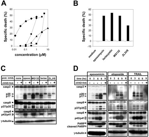 Figure 1. Proteasome inhibitors induce apoptosis in a caspase-dependent fashion. (A) Jurkat cells were exposed for 24 hours to the indicated concentrations of proteasome inhibitors (♦, epoxomicin; ▪, lactacystin; •, MG132; ▴, ZL3VS). Thereafter, cells were harvested, and dead cells were quantified by flow cytometry after staining with propidium iodide. Means of duplicates are shown. (B) Jurkat cells were preincubated for 1 hour in the presence (□) or absence (▪) of zVAD-fmk (100 μM) and thereafter were exposed to epoxomicin (0.4 μM), MG132 (0.5 μM), lactacystin (5 μM), ZL3VS (10 μM), or regular medium for 24 hours. Subsequently, cell death was quantified by flow cytometric analysis of propidium iodide-stained cells. Mean values of duplicates are presented. (C) Jurkat cells were preincubated for 1 hour in the presence or absence of zVAD-fmk and thereafter were cultured in the presence or absence of epoxomicin (0.4 μM), MG132 (1 μM), lactacystin (5 μM), or ZL3VS (10 μM) for 8 hours. Subsequently, lysates were prepared and cellular proteins were resolved by SDS-polyacrylamide gel electrophoresis (PAGE). Caspase activation was detected by cleavage of caspase-3, caspase-8, and caspase-9 using immunoblot analysis. (D) Following a 1-hour preincubation with or without zVAD-fmk, Jurkat cells were stimulated with regular medium, epoxomicin (0.4 μM), etoposide (25 μg/mL), or TRAIL (100 ng/mL) for the indicated time amounts. Cleavage of caspase-3, caspase-8, caspase-9, and PARP was detected using immunoblot analysis.