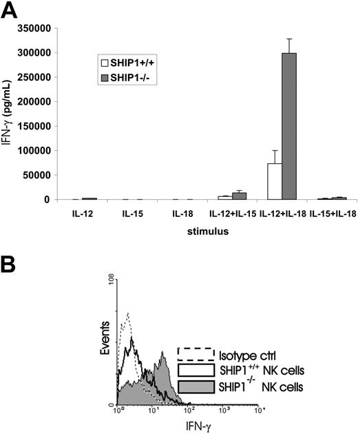 Figure 6. Assessment of NK cell IFN-γ production in WT and Ship1–/– mice following monokine stimulation. (A) NK cells were isolated from spleens of WT and Ship1–/– mice and then stimulated for 24 hours in vitro with individual monokines IL-12 (10 ng/mL), IL-18 (20 ng/mL), or IL-15 (10 ng/mL) or with a combination of IL-12 plus IL-15, IL-12 plus IL-18, or IL-15 plus IL-18. Supernatants were then collected and assayed for IFN-γ by ELISA. Data summarize results from 5 mice. (B) Wild-type and Ship1–/– mice received an intraperitoneal injection of IL-12 (1 μg) plus IL-18 (0.5 μg). After 24 hours spleens were harvested and splenocytes were cultured for 4 hours in brefeldin A and permeabilized and stained with DX5-PE and NK1.1-PE mAbs (pan-NK) and anti-muIFN-γ–FITC mAb. The histogram shows flow analysis for IFN-γ staining in DX5+ NK1.1+ NK cells from WT and Ship1–/– mice. Results are representative of 5 experiments. Error bars indicate ± SEM.