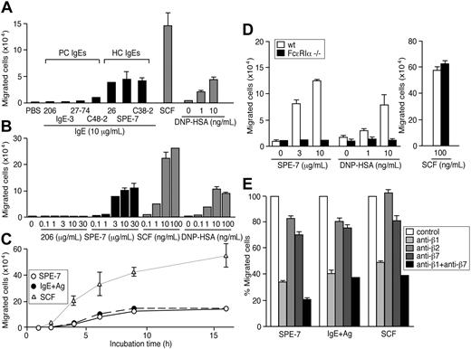 Figure 1. HC IgEs and IgE+Ag induce the migration of BMMCs through FcϵRI and β1 integrin. (A) HC, but not PC, IgEs induce BMMC migration efficiently in an 8-hour transwell assay. BMMCs, sensitized overnight with anti-DNP IgE (206) and washed, were also attracted to a lower well containing DNP-HSA. For comparison, SCF (100 ng/ml) was also tested in the same assay. Also shown are dose-response (B) and time-course (C) experiments using 10 μg/mL 206 IgE, 10 μg/mL SPE-7 IgE, 10 ng/mL DNP-HAS, and 100 ng/mL SCF. (D) Migration assays were performed with FcϵRIα-/- and control BMMCs. (E) Migration of wild-type BMMCs was inhibited by neutralizing antibodies against integrins. Experiments were performed in triplicate. Representative data (± SD) are shown out of 2 or more experiments.