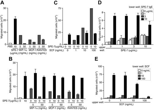 Figure 2. Comparison between HC IgE- and chemokine-induced migration of BMMCs and checkerboard analysis of HC IgE-induced mast cell migration. (A) SPE-7 IgE-induced migration of BMMCs was compared with those induced by mast cell-attracting chemokines, MIP-1α, MCP-1, and RANTES. (B-C) BMMC migration was induced by SPE-7 IgE in combination with chemokines or SCF. (D) BMMCs in upper wells containing various concentrations of SPE-7 IgE were incubated with various concentrations of SPE-7 IgE in lower wells. (E) BMMCs in upper wells containing various concentrations of SCF were incubated with various concentrations of SCF in lower wells. Values (mean ± SD) are shown out of 2 independent experiments.