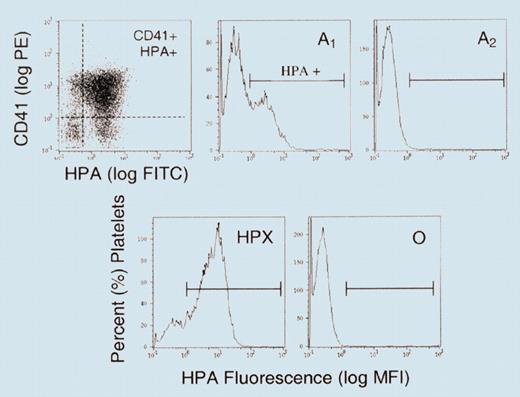 Flow cytometry analysis of platelets with fluorescein-labeled Helix pomatia, a lectin specific for A antigen, shows that group A1 platelets express A antigen but not group A2. See the complete figure in the article beginning on page 3356.