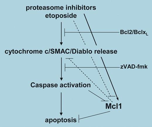 A model for Mcl-1 regulation in apoptosis promoted by proteasome inhibitors. See the complete figure in the article beginning on page 3255.