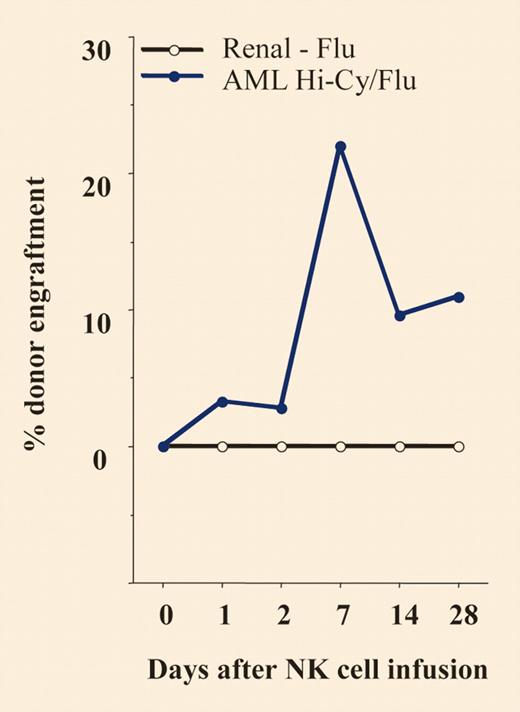 Hi-Cy/Flu induces in vivo expansion of NK cells. See the complete figure in the article beginning on page 3051.