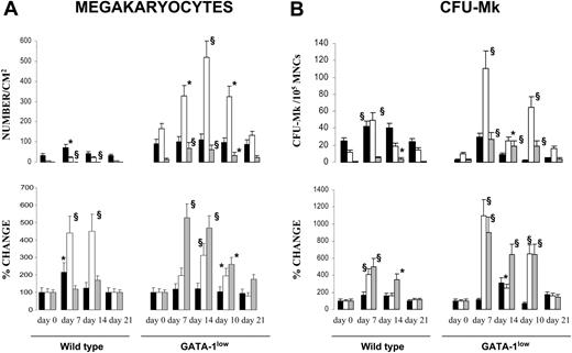 Figure 3. TPO treatment (100 μg/kg per day for 5 days) increased the frequency of Mks and CFU-Mks in hematopoietic tissues from both wild-type and GATA-1low littermates. Frequency of Mks (A) and CFU-Mks (B) in marrow (▪), spleen (□), and liver (▦) from wild-type and GATA-1low mice at days 7, 10, 14, and 21 after receiving 100 μg TPO/kg of body weight/day for 5 consecutive days. The data are reported both in absolute number (top) and as percent change, with respect to values measured in each mouse 3 to 5 days before TPO treatment (bottom). Results represent the mean ± SD of data obtained on 4 mice at each time point. The numbers of Mks were determined in serial hematoxylineosin–stained sections similar to those presented in Figure 2. The numbers of CFU-Mks are expressed per 105 mononuclear cells (MNCs) for all the tissues. Values statistically higher than those observed in untreated animals: * indicates P < .05; §, P < .01.