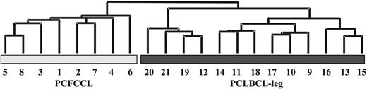 Figure 1. Hierarchical clustering based on B-cell signature in primary cutaneous large B-cell lymphoma. Hierarchical clustering based on the expression of a B-cell signature consisting of 7450 genes with a “present” call in normal B-cell subsets (centroblasts, centrocytes, memory B cells, and naive B cells) and generated by the same Affymetrix U95Av2 Gene Chip22 identifies 2 distinct gene expression profiles in primary cutaneous follicle center cell lymphoma (PCFCCL) and primary cutaneous large B-cell lymphoma of the leg (PCLBCL-leg).