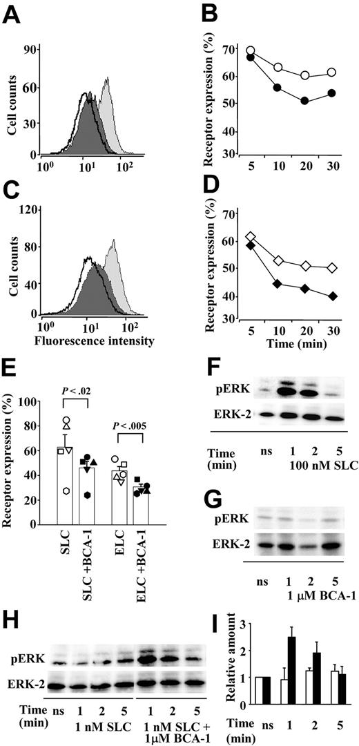 Figure 3. BCA-1 enhances receptor internalization and ERK phosphorylation in CCR7-transfected cells. BCA-1 enhances SLC- (A,B,E) and ELC- (C,D,E) induced CCR7 internalization. The histograms represent the fluorescence intensity of CCR7 in transfected cells unstimulated (light gray curves), stimulated with 300 nM SLC (A) or 100 nM ELC (C) (dark gray curves), or sequentially stimulated with 1 μM BCA-1 and SLC or ELC (bold line), as analyzed by flow cytometry. One representative experiment of 3 is shown. Time course of CCR7 internalization induced by 300 nM SLC (B) or 100 nM ELC (D) in the presence (closed symbols) or absence (open symbols) of 1 μM BCA-1. One of 2 independent experiments is shown. (E) CCR7 expression in cells stimulated for 30 minutes with 300 nM SLC or 100 nM ELC in the presence (filled symbols) or absence (open symbols) of 1 μM BCA-1. Columns represent mean ± SEM of 5 independent experiments. Differences between receptor expression after stimulation with the agonist or with the agonist plus BCA-1 are statistically significant. (F-G) ERK phosphorylation mediated by 100 nM SLC (F) or 1 μM BCA-1 (G) alone after times indicated. (H) ERK phosphorylation by a suboptimal dose (1 nM) of SLC and its synergistic increase in the presence of 1 μM BCA-1 after times indicated. pERK designates phosphorylated, and ERK-2 total ERK, respectively. One representative experiment of 3 is shown. (I) Densitometric analysis of the bands corresponding to phosphorylated ERK induced by SLC (1 nM; □) or SLC (1 nM) plus BCA-1 (1 μM; ▪). Values were normalized against their matching total ERK values, and the arbitrary value of 1 was given to the experiments obtained with unstimulated cells (ns). Mean ± SD of 3 independent experiments is shown.