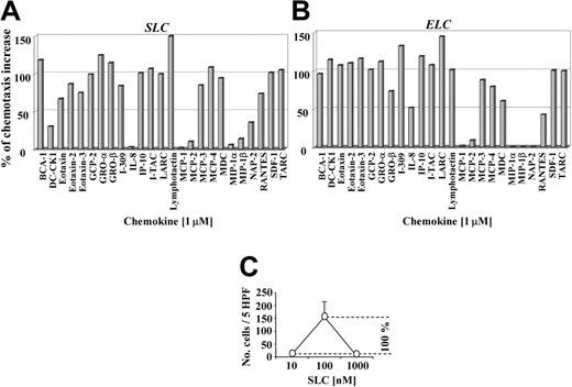 Figure 4. Many chemokines enhance SLC- and ELC-induced migration in CCR7-transfected cells. CCR7-transfected cell migration induced by 10 nM SLC (A) or ELC (B) in the presence of 1 μM of different chemokines applied to the lower wells as indicated. Percentage values of the chemotactic increases were calculated as follows: the number of migrated cells at the suboptimal chemotactic concentration (10 nM SLC or ELC) was subtracted from the number of migrated cells at the optimal chemotactic concentration (100 nM SLC or ELC), with the difference representing 100% of the chemotactic increase (C). Synergistic effects are given as the percentage of the chemotactic increase. DC-CK1, dendritic cell-specific CC-chemokine; GCP, granulocyte chemotactic protein; GRO, growth-regulated oncogene; IP, interferon-inducible protein; NAP, neutrophil-activating peptide; RANTES, regulated on activation normal T cell expressed and secreted; SDF, stromal cell-derived factor; and TARC, thymus activated-regulated chemokine.
