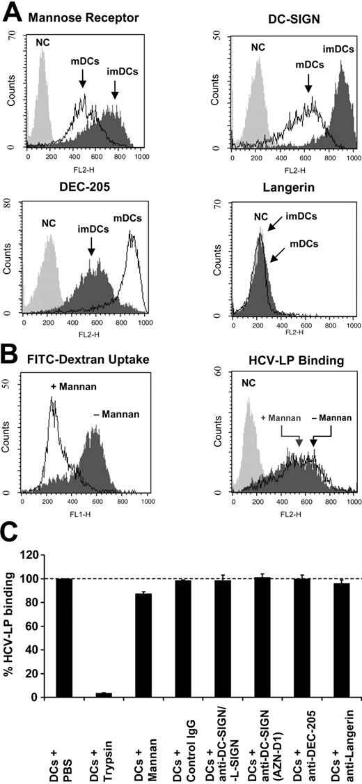 Figure 4. HCV-LP binding to DCs and C-type lectins. (A) Expression of mannose receptor, DC-SIGN, DEC-205, and Langerin on monocyte-derived DCs. C-type lectin expression on imDCs and mDCs was analyzed by FACS using cell surface protein-specific antibodies (NC indicates negative control corresponding to cells incubated with the respective isotype control antibody). (B, left) Inhibition of FITC-dextran binding and uptake into imDCs by mannan. FITC-dextran binding and uptake at 37°C was measured by FACS in the absence or presence of mannan (3 mg/mL). (B, right) Mannan does not inhibit cellular HCV-LP binding to imDCs. HCV-LPs in subsaturating concentrations (1 μg HCV-LP E2/mL) were added to imDCs in the absence or presence of mannan (3 mg/mL) and HCV-LP binding was analyzed as described in Figure 1. (C) Quantitative analysis of cellular HCV-LP binding in the presence of anti–DC-SIGN, anti–DC-SIGN/L-SIGN, anti–DEC-205, anti-Langerin antibodies, or control IgG. DCs were preincubated with mannan (3 mg/mL) or antibody (50 μg/mL) for 1 hour at 25°C. HCV-LPs (1 μg HCV-LP E2/mL) were added to the cells and HCV-LP binding was analyzed by flow cytometry as described in Figure 3A. To study whether trypsin pretreatment of DCs modifies HCV-LP binding, imDCs were exposed to 0.5% trypsin prior to the addition of HCV-LPs as described recently.27 Mean ± SD of 3 experiments is shown (HCV-LP binding in the absence of antibody = 100%).