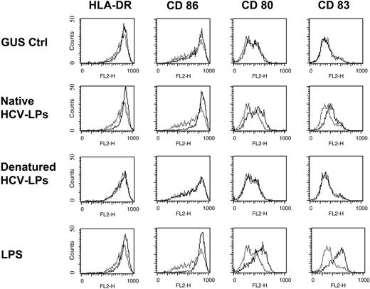 Figure 7. DC activation by native HCV-LPs. ImDCs were exposed to insect cell control preparations (GUS Ctrl), native HCV-LPs, denatured HCV-LPs, or LPS at a final concentration of 10 μg/mL. After 16 hours, DC activation was assessed by flow cytometric analysis of HLA-DR, CD80, CD86, and CD83 cell surface expression (dark line). Histograms corresponding to background expression of the respective cell surface molecules in unexposed DCs are shown as a gray line. A representative result of 3 independent experiments is shown.