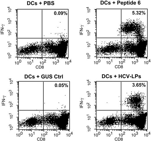 Figure 10. Cross-presentation of HCV-LPs to intrahepatic core-specific CD8+ T cells. Autologous imDCs were loaded with HCV-LPs (50 μg/mL; equivalent to approximately 5 μg HCV-LP core/mL), insect cell control preparation (GUS Ctrl; 50 μg/mL), or core peptide 6 (comprising core aa's 36-53; 10 μg/mL). The pulsed DCs were washed and subsequently cocultured with intrahepatic core-specific CD8+ T cells at a ratio 1:2. After 5 hours of incubation, the cells were stained with antibodies to CD8 and IFN-γ and analyzed by flow cytometry. Percentages of CD8+ T cells that produced IFN-γ in the respective quadrants are indicated on the dot plots. Controls include isotype-control stained CD8+ T cells to determine the quadrant boundaries (not shown).