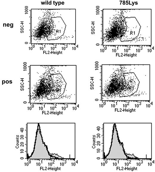 Figure 1. Cell surface expression of wild-type G-CSF-R and G-CSF-R_785Lys. Flow cytometric analysis of G-CSF-R expression on Gcsfr-/- bone marrow cells retrovirally transduced with wild-type G-CSF-R or G-CSF-R_785Lys revealed no differences in transduction efficiency (8.02% versus 7.35%) and receptor surface expression (mean fluorescence intensity, 246.8 versus 231.4). The second row of dot plots and thin line in histograms indicate cells stained with biotinylated G-CSF-R antibodies and SA-PE; the first row and bold line in histograms indicate cells stained with SA-PE only.