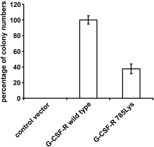 Figure 2. G-CSF–induced colony formation of Gcsfr-/- bone marrow cells transduced with either wild-type G-CSF-R or G-CSF-R_785Lys. Colonies were grown in the presence of 100 ng/mL G-CSF. Percentages of colony numbers as compared with wild-type G-CSF-R from triplicate colony dishes of 4 independent experiments are shown (mean ± SE). Differences between wild-type G-CSF-R and G-CSF-R_785Lys are highly significant (Student t test, P < .001).